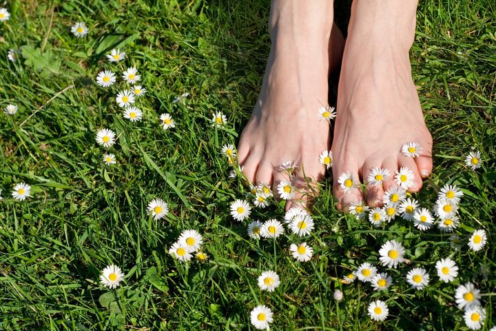 The best things in life are the simple things - womans feet on grass with wildflowers