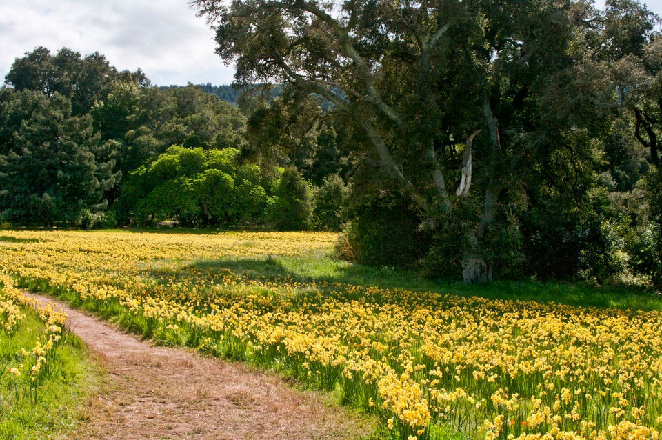 Filoli, Woodside, CA