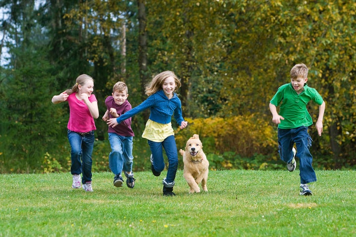 A group of 4 kids racing in a park with a dog.