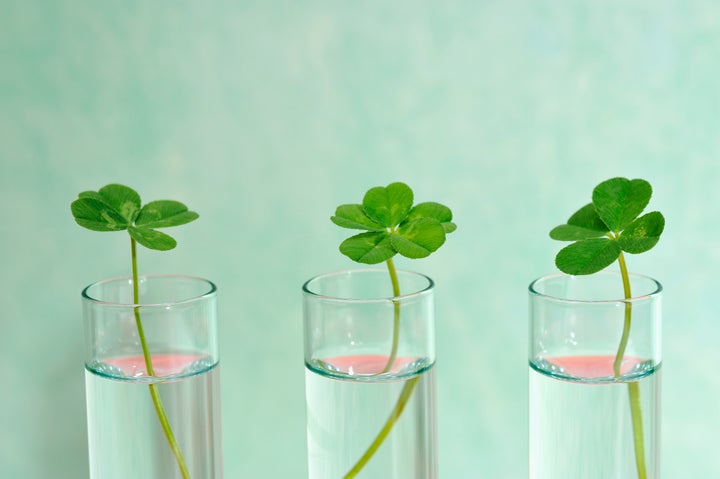 Four leaf clover,in the glass bottle.