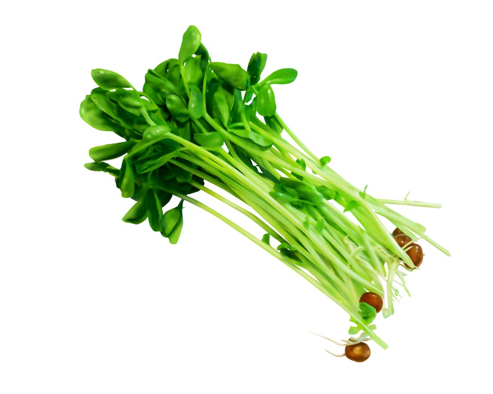 Pea Shoots