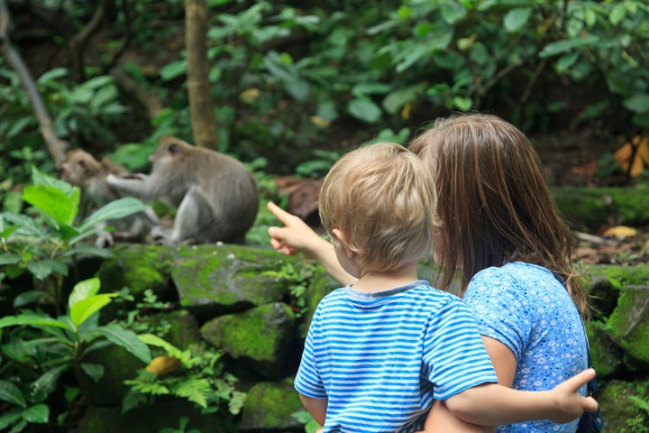 family looking at wild monkey in nature