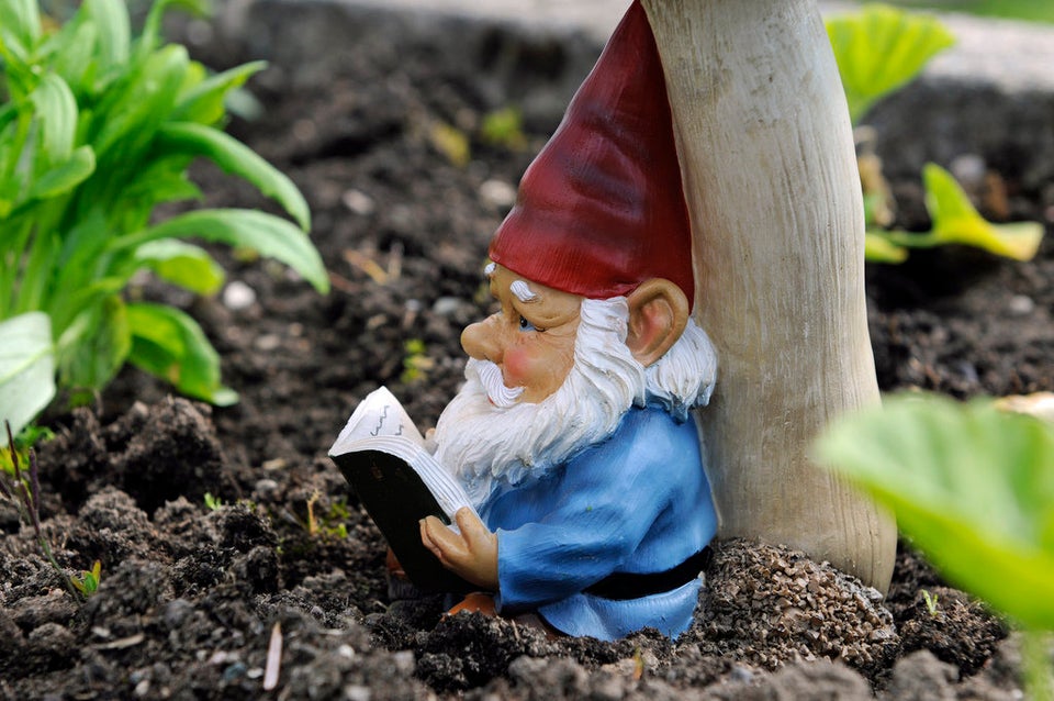 10 Adorable Garden Gnomes That Are Protecting Yards All Over The