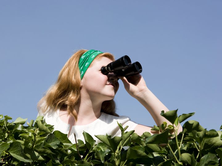 girl looking over a hedge with binoculars