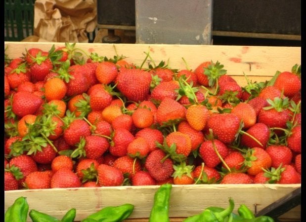 Fragole in Genzano di Roma, Italy