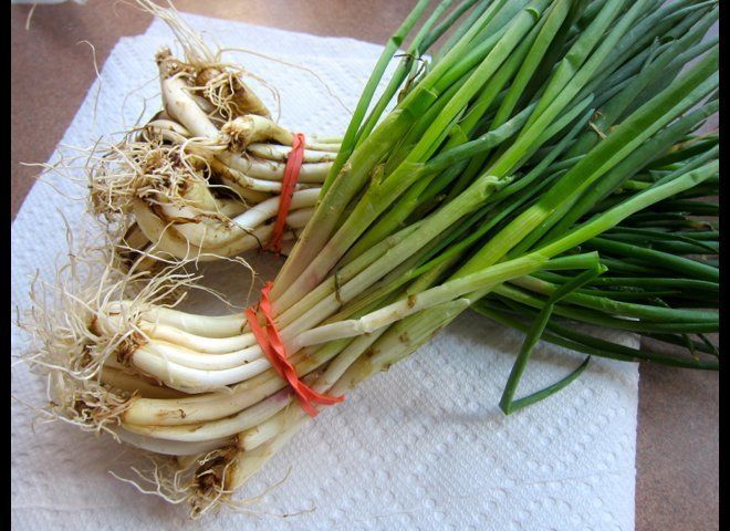 Spring Shallots: Before Cleaning