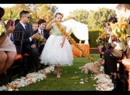 flower girl alternative to petals