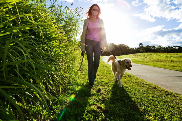 Young woman and golden retriever walking in the grass