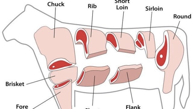 The Structure of Meat