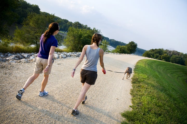 two friends walking a dog