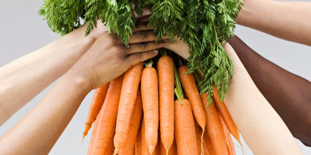 Hands holding a fresh bunch of carrots