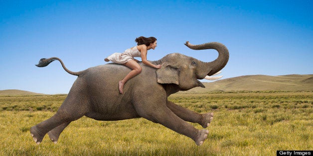 A woman rides a galloping elephant, bareback, in a photo depicting freedom, success and possibilities.