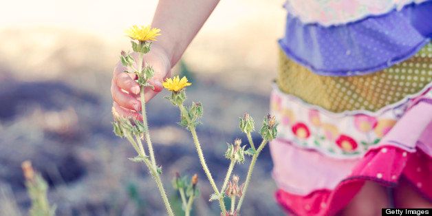 Little girl picking a flower in a field