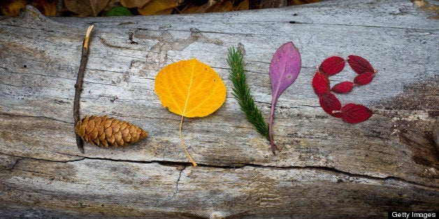 love written in leaves showing the fall colors