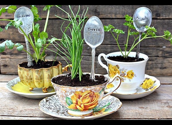 1. Teacup Herb Gardens