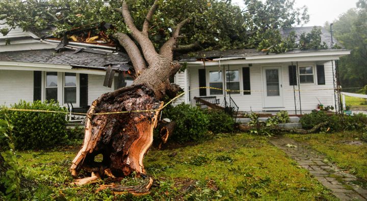 A downed tree rests on a house during the passing of Hurricane Florence in the town of Wilson, North Carolina.