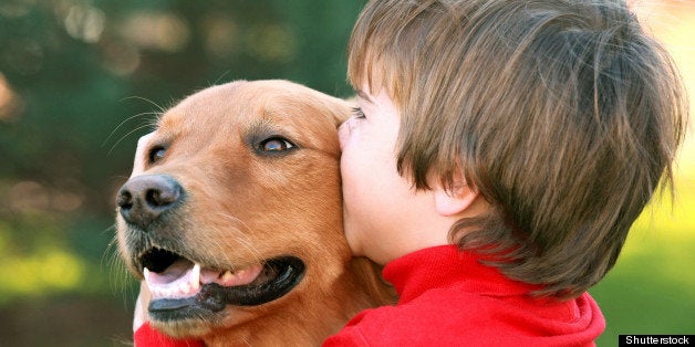 boy kissing dog