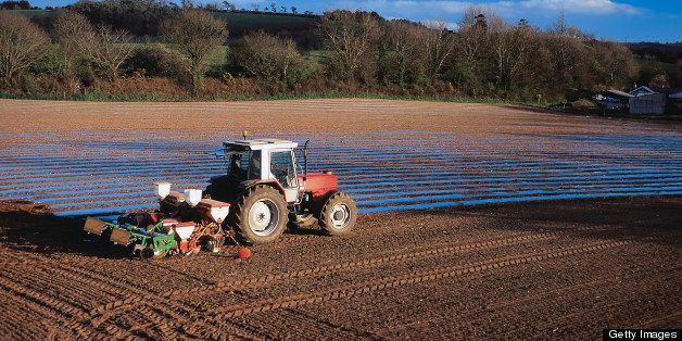 a farm tractor ploughing a field