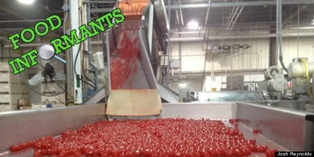 Candied Cherries Meijer