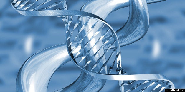 dna strands