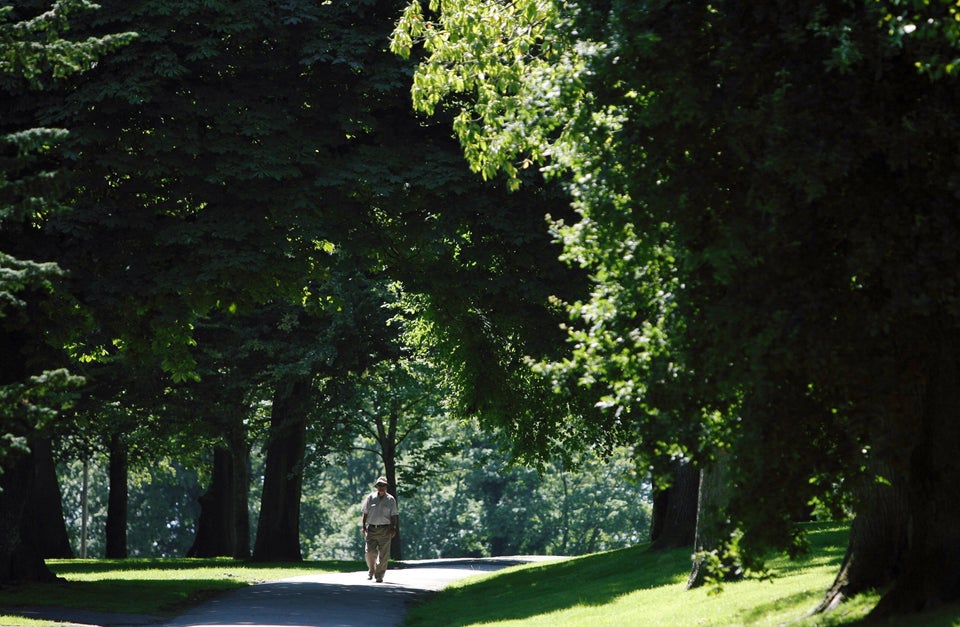 Walk in the park.