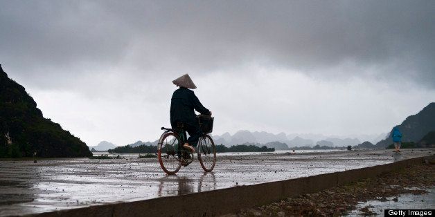 Vietnam, Ninh Binh Province, Ken Ga, karstic landscape around Hoa Lu, woman on bicyccle on a dike