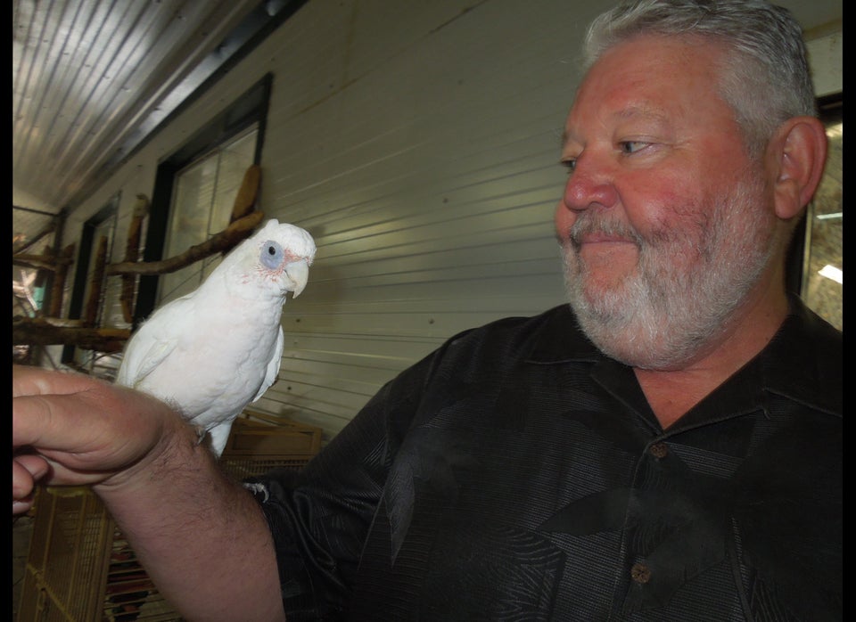 World Parrot Refuge in Coombs, B.C.