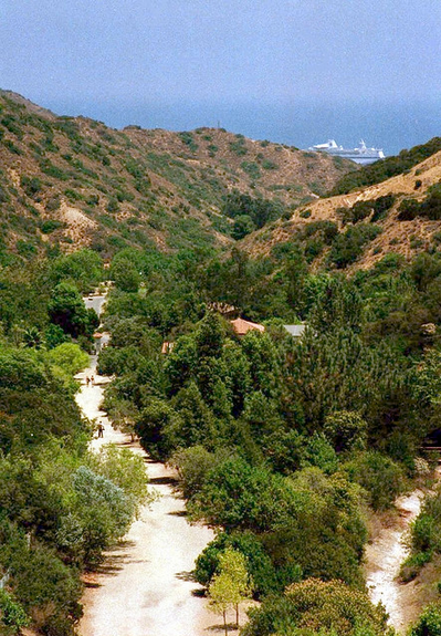 Volunteer Vacation, Catalina Island, California