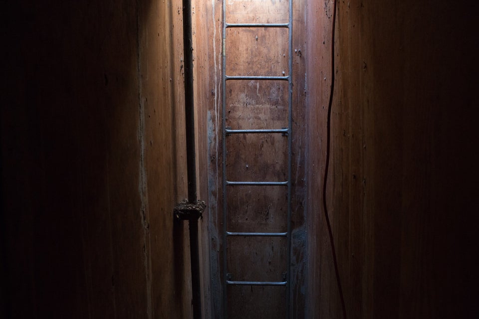 Forgotten Underground Fallout Shelter Found Intact In Back Yard