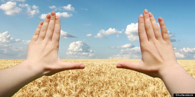 frame made of hands at wheat...