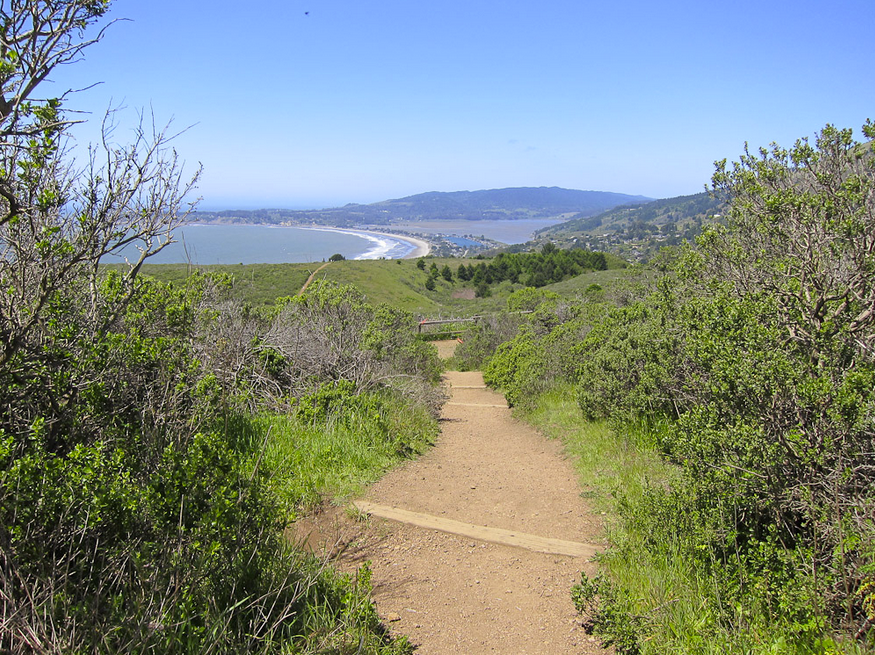 Dipsea Trail, Mill Valley, California