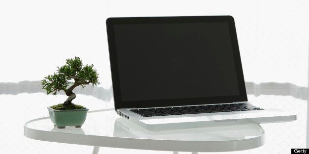 Laptop with a small Bonsai on the table