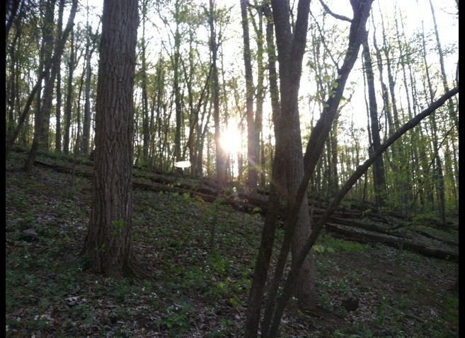 Hiking the Appalachian Trail