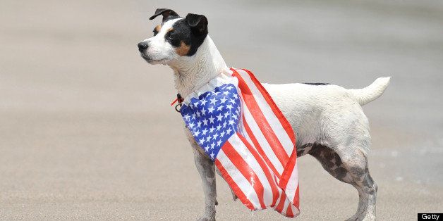 A dog with a US flag is seen during the ISA World Master Championship in Tola, 120 km south of Managua, on July 21, 2012. AFP PHOTO/ Hector RETAMAL (Photo credit should read HECTOR RETAMAL/AFP/GettyImages)