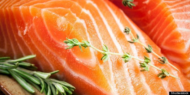 fresh salmon. macro