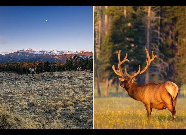 #6 Moraine Park Campground—Rocky Mountain National Park, Colorado