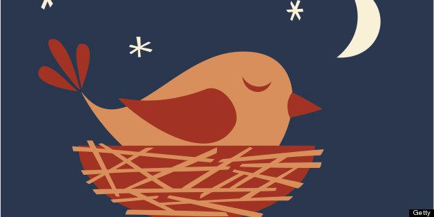 Illustration of cute bird sleeping in a nest.