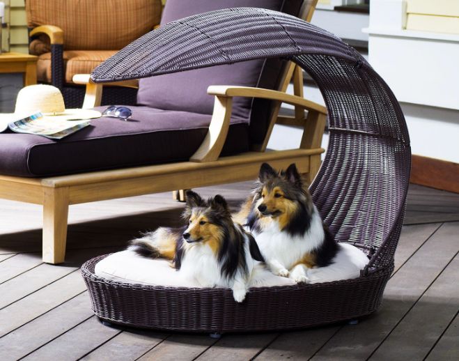 The Refined Canine Outdoor Dog Chaise Lounger