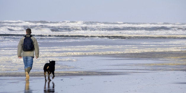 Man and his dog walking on the beach