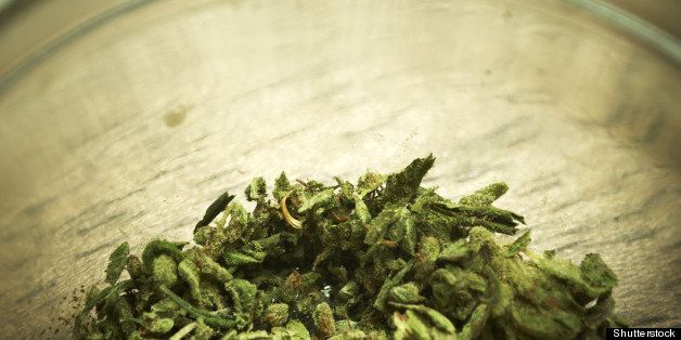medical marijuana background
