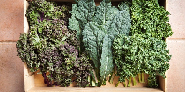 Subject: Several varieties of kale in a wood crate freshly harvested from a garden. Including Lacinato Kale, red Kale, and Green Kale.