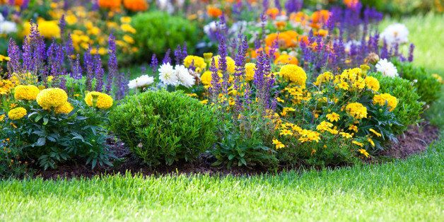 multicolored flowerbed on a...