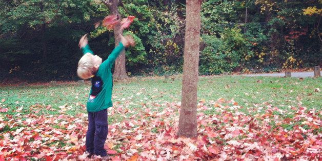 Two little boys playing in autumn leaves. One boy is climbing a tree and the other is tossing leaves into the air.