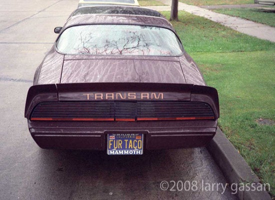 1980 Trans Am Chick-Magnet