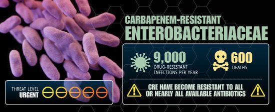CRE (carbapenem-resistant Enterobacteriaceae)