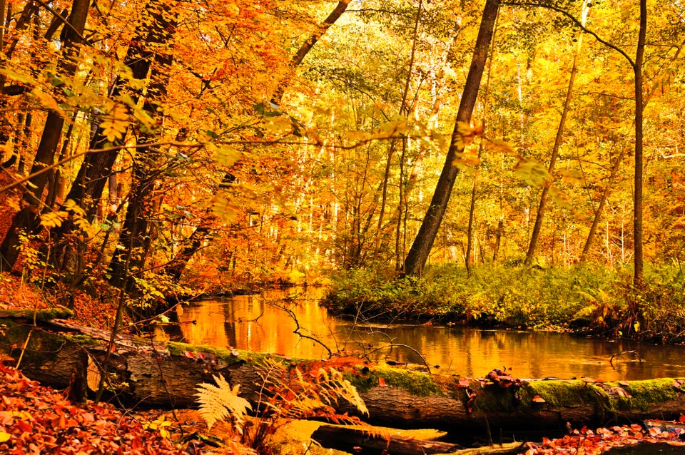 Fall Is Here! 12 Reasons To Celebrate | HuffPost Life