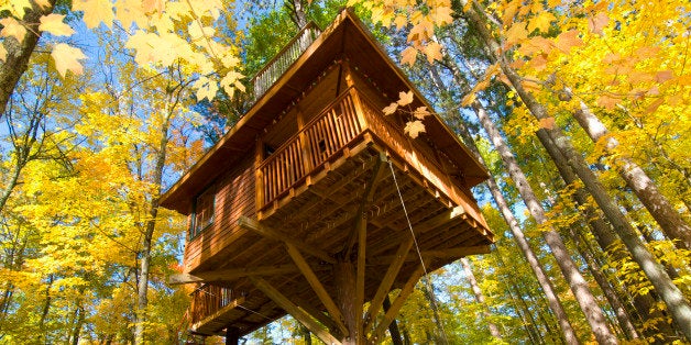 Tree house in autumn colored forest 