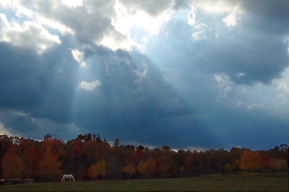 The Farm, Lewis County, Tennessee