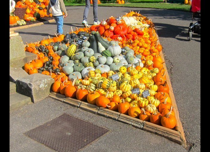 An arrangement of pumpkins and squashes at Kew Gardens