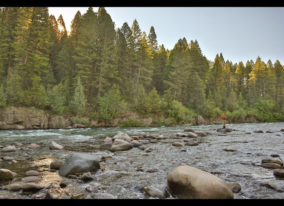Fly Fishing on the Gallatin River
